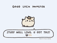hamster